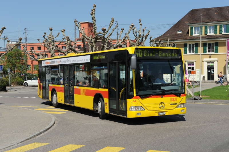 MB O 530 Citaro C1 Nr. 36