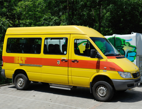 Mercedes-Benz Sprinter 313 CDI 4×4 Nr. 6