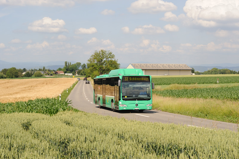 MB O 530 CNG Citaro FL Nr. 810