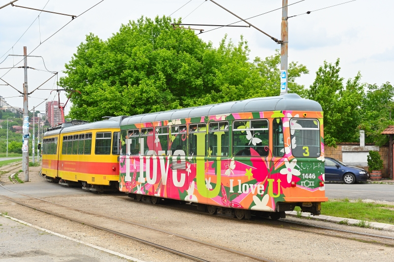 Aw 1446