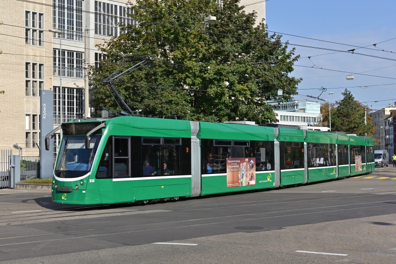 Be 6/8 313