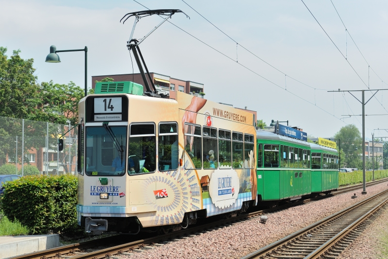 Be 4/4 502 «Le Gruyère» (Motiv 2)