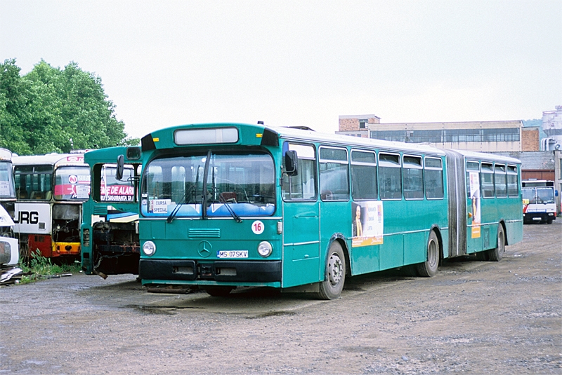 MB O 305 G Nr. 16