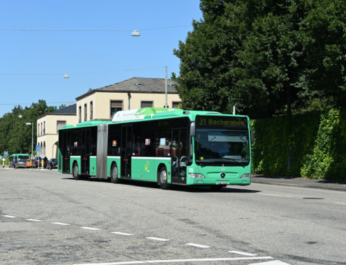 Autobuslinie 31
