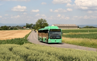 MB O 530 CNG Citaro FL Nr. 810