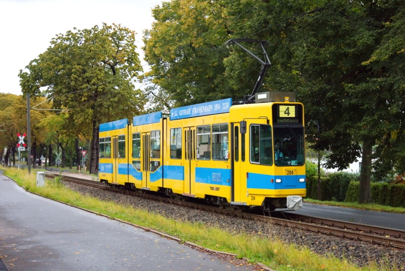 GT8 204
