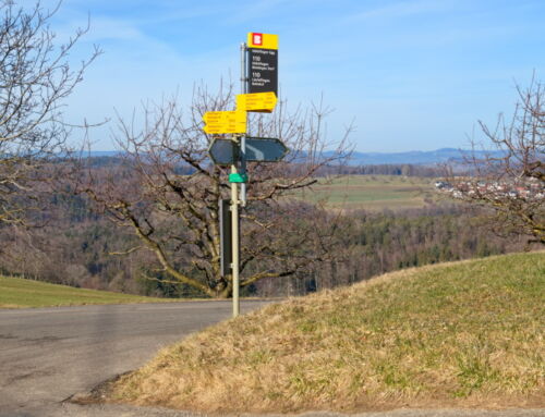 Autobuslinie 110
