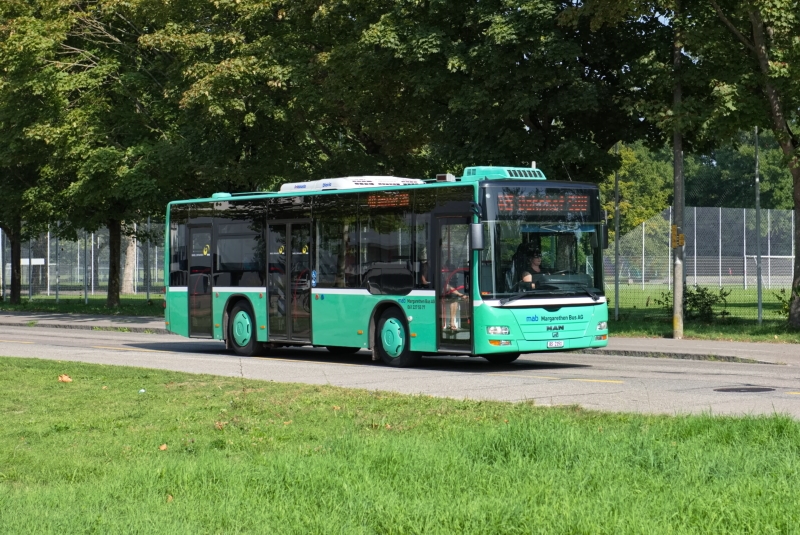 MAN Lion’s City M Nr. 031